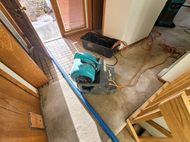 Best Water damage cleanup near me  in Aubrey, TX