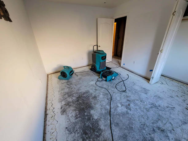 Best Fire Damage Restoration  in Aubrey, TX