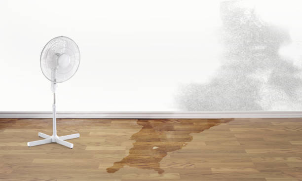 Best Commercial water damage restoration  in Aubrey, TX