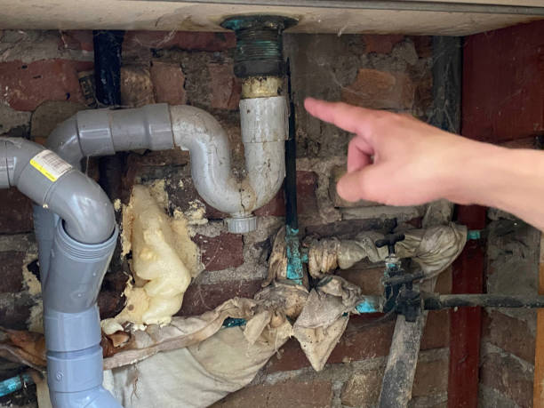 Best Flood restoration services  in Aubrey, TX