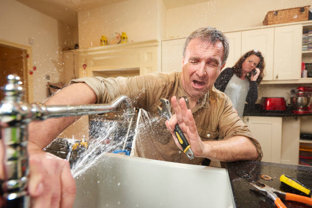 Best Mold removal after water damage  in Aubrey, TX